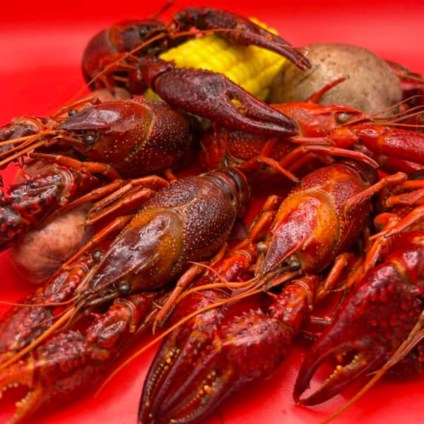 A pile of cooked red crawfish, corn, and a potato on a vibrant red surface.